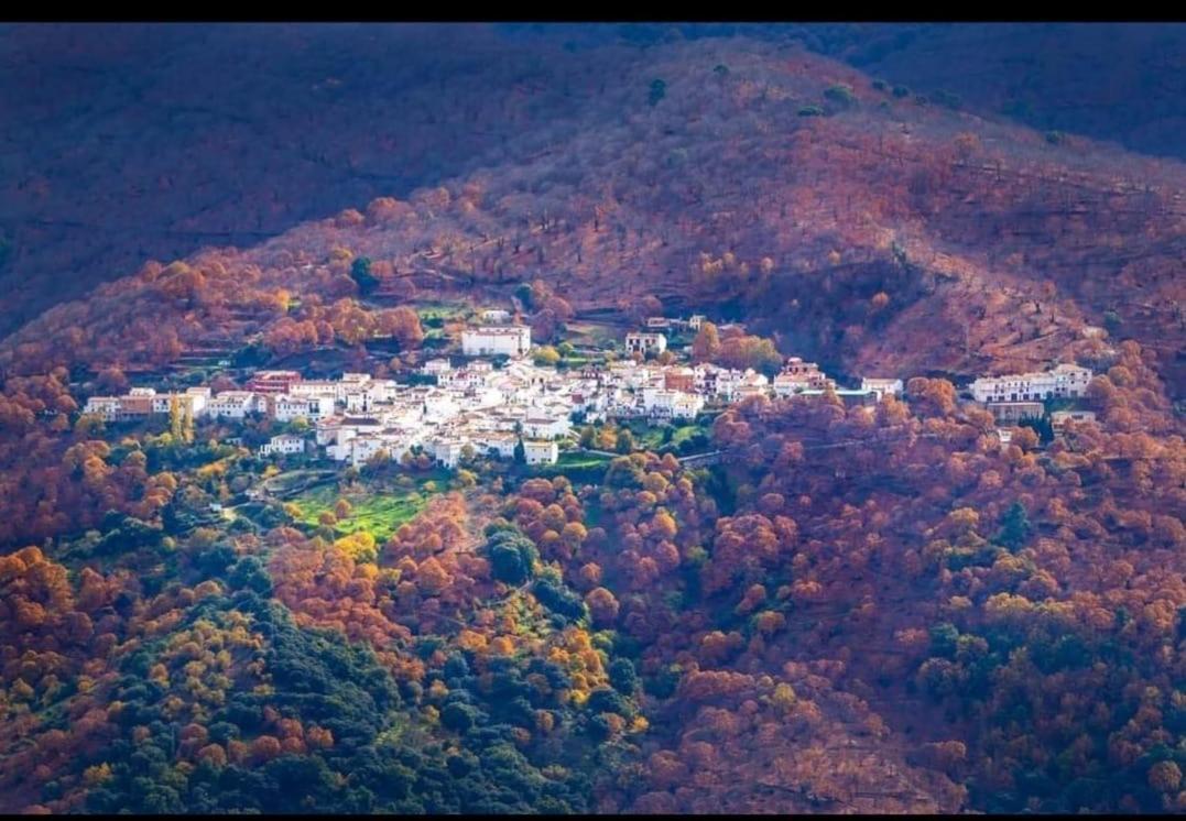 Casa Rural Los Jilgueros Pujerra Esterno foto